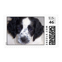 I'm home postage by gts1959 I'm home postage