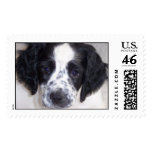 I'm home postage