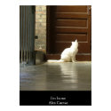 Im home posters by ALEX_CUEVAS Im home posters