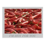 I'M HOT FOR YOU POST CARD