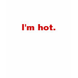 I'm hot. You're cold. Tee Shirts