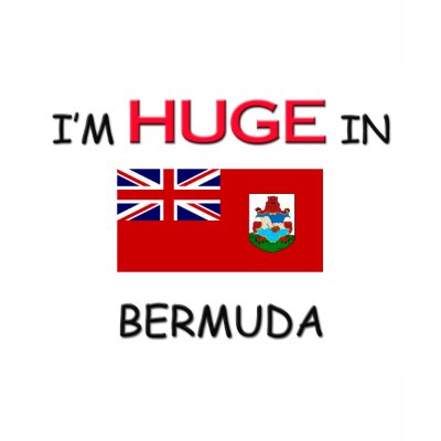 I'm HUGE In BERMUDA Shirts by flagshirt