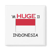 I'm HUGE In INDONESIA magnets