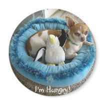 I'm Hungry! Cute puppy magnets by MalibuJoy I'm Hungry! Cute puppy magnets