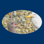 "I'm Hungry" Gull Sticker stickers