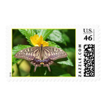 I'm Hungry! Stamp by larissabrea I'm Hungry! Stamp
