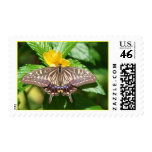 I'm Hungry! Stamp