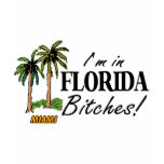 Im In Florida Bitches t-shirts