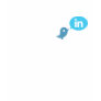 Twitter + LinkedIn Business Networking Card via Twinked.in I'm #in - Women's T