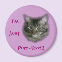 "I'm just Purr-fect!!" magnets
