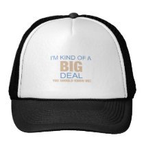 I'm kind of a big deal! mesh hats