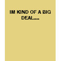 IM KIND OF A BIG DEAL.... t-shirts