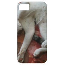 IM LAZY I DON'T CARE iPhone 5 CASE
