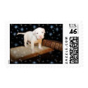 I'm Learning How To Read postage