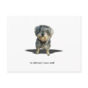 I'm little but I know stuff. postcards by dogsdogsdogsdogsdogs I'm little but I know stuff. postcards