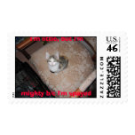 I'm little, but I'm mighty b/c I... Postage Stamp