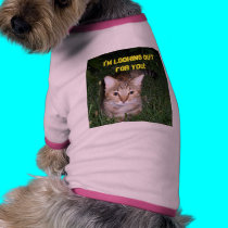 I'm looking out for you! pet clothing