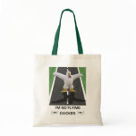 soaring, gliding, sailplane, glider, flying,