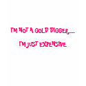 I'M NOT A GOLD DIGGER...., I'M JUST EXPENSIVE t-shirts