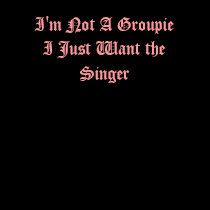 I'm Not A Groupie I Just Want the Singer t-shirts