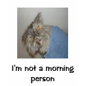 I'm not a morning person t-shirts