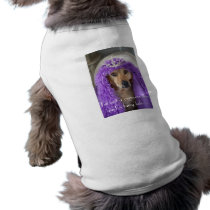 i'm not a princess... pet clothing