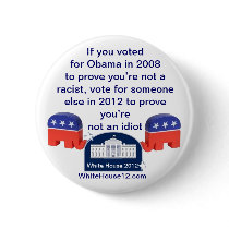Im Not a Racist.  I Voted for Obama! Pins