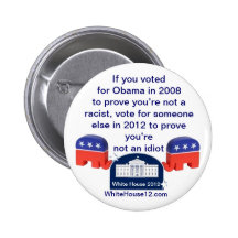 Im Not a Racist.  I Voted for Obama! Pins