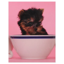 I'm not a Tea Cup Poodle! Flyers