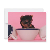 I'm not a Tea Cup Poodle! invitations by lover196969 I'm not a Tea Cup Poodle! invitations
