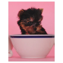 I'm not a Tea Cup Poodle! letterhead