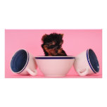 I'm not a Tea Cup Poodle! Custom Photo Card