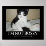 I'm Not Bossy Cat Artwork Poster