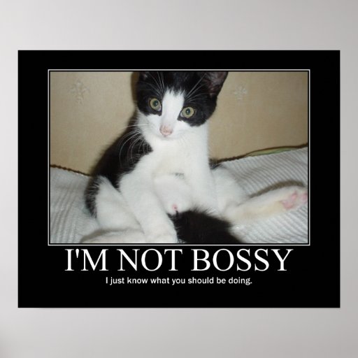 im_not_bossy_cat_artwork_poster-r7459cc6