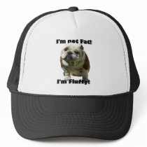 I'm not fat Bulldog baseball hat