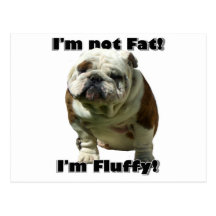 I'm not fat Bulldog postcard