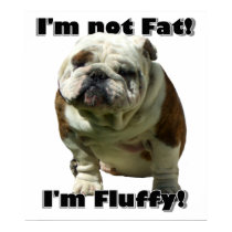 I'm not fat bulldog poster posters