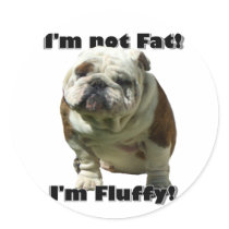 I'm not fat Bulldog stickers