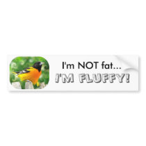 I'm NOT fat... bumper stickers