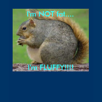 I'm not fat, I'm FLUFFY!! (women's) t-shirts