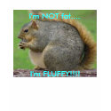 I'm not fat, I'm FLUFFY!! (women's) t-shirts