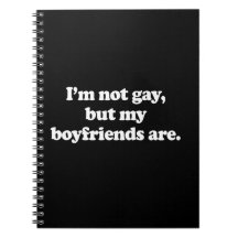 I'm not gay, but my boyfriends are  notebook