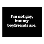 I'm not gay, but my boyfriends are  post card