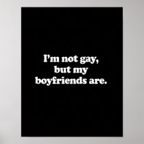 I'm not gay, but my boyfriends are 