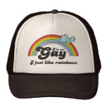I'm not gay I just like Rainbows Hat