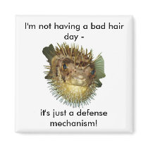 I'm not having a bad hair day - magnets by Kylyssa I'm not having a bad hair day - magnets