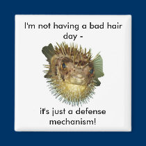 I'm not having a bad hair day - magnets