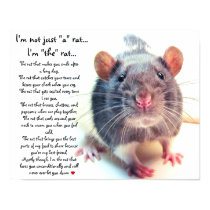 I'm Not Just "a" Rat posters