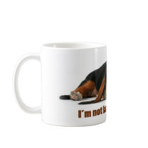 I'm not lazy, I just don't care Mugs