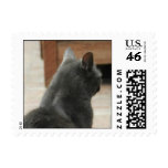 I'm Not Paying Attention To You Postage Stamp